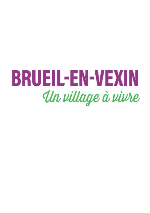 Votre avis nous intéresse ! ENQUETE SUR LES ATTENTES CULTURELLES, MATERIELLES OU AUTRES ANIMATIONS DE LOISIRS DES BRUEILLOIS