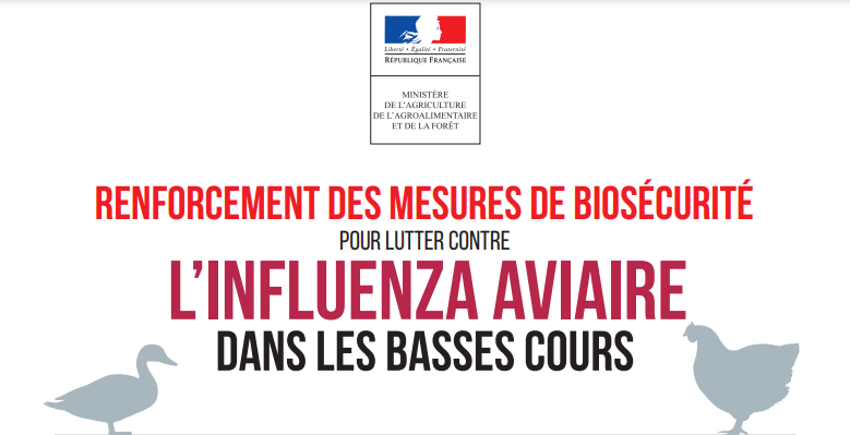 Renforcement des mesures de biosécurité pour lutter contre l’Influenza aviaire dans les basses-cours