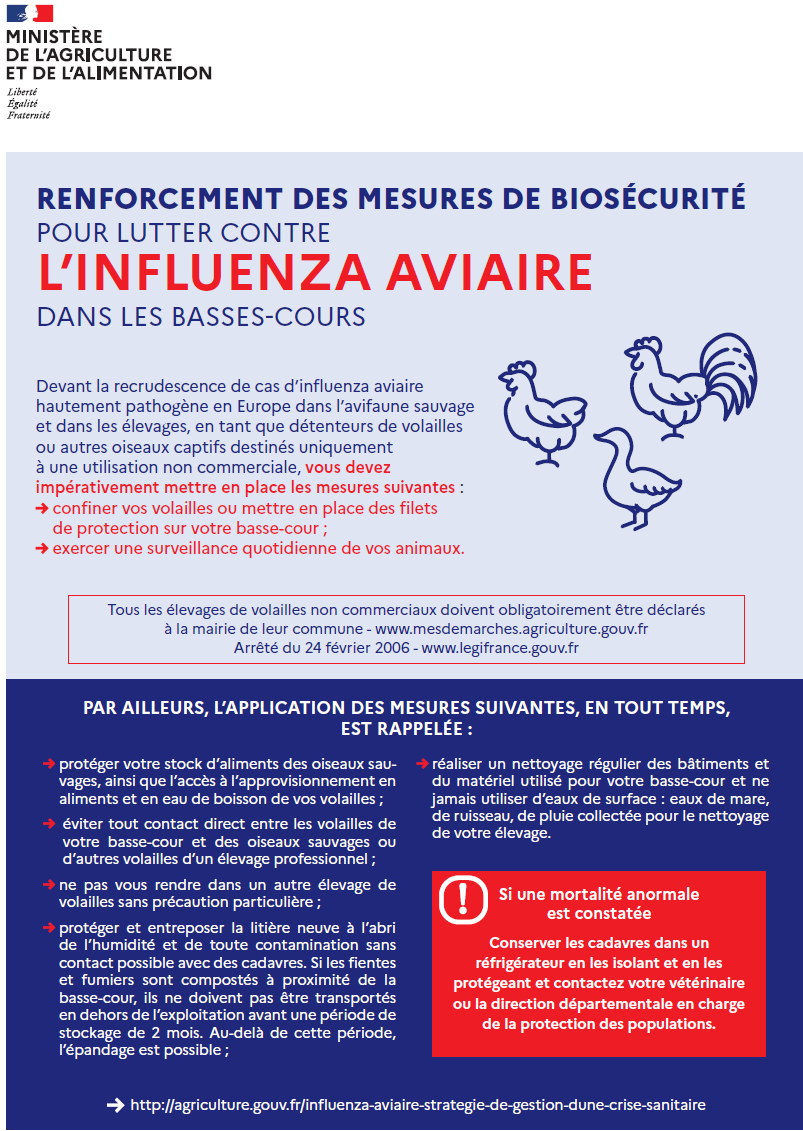 RENFORCEMENT DES MESURES DE BIOSÉCURITÉ POUR LUTTER CONTRE L’INFLUENZA AVIAIRE DANS LES BASSES-COURS