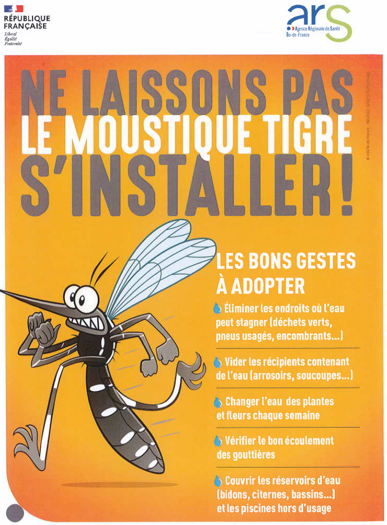 Moustique tigre : agissons dès maintenant pour un été plus tranquille !